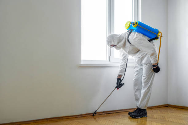 Best Pest Prevention Services  in Lincoln Heights, OH