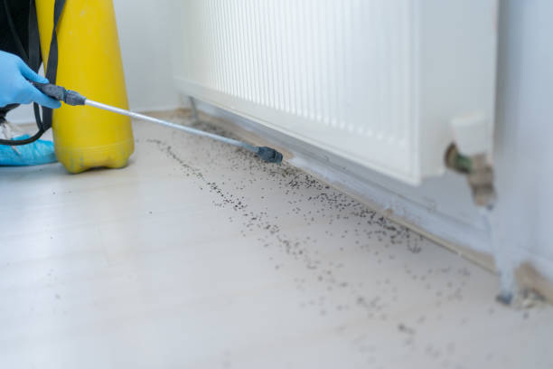 Best Local Pest Control Services  in Lincoln Heights, OH