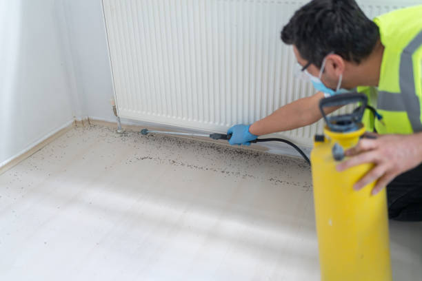 Best Best Pest Control Companies  in Lincoln Heights, OH